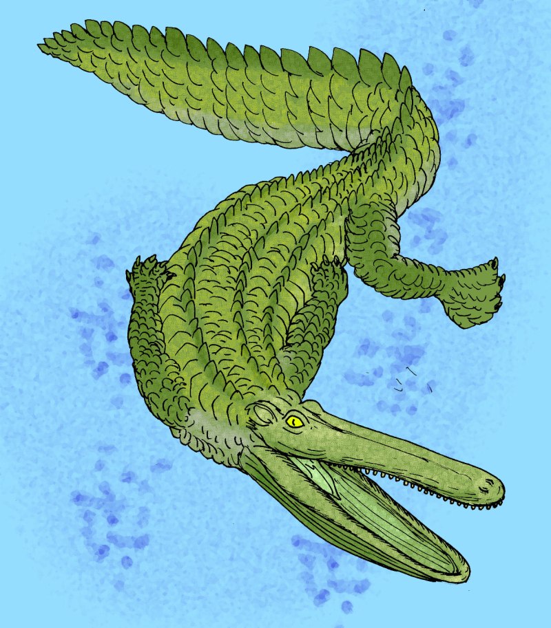 Stomatosuchus inermis