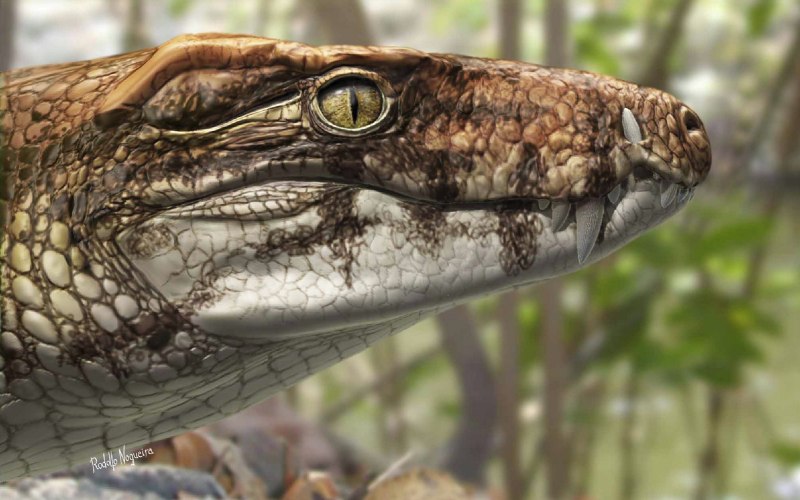 Extinction of species in Brazil