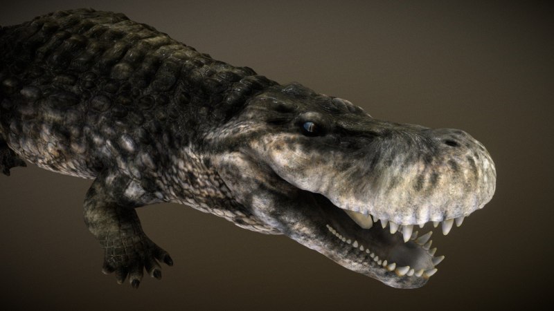 Purussaurus Brasiliensis