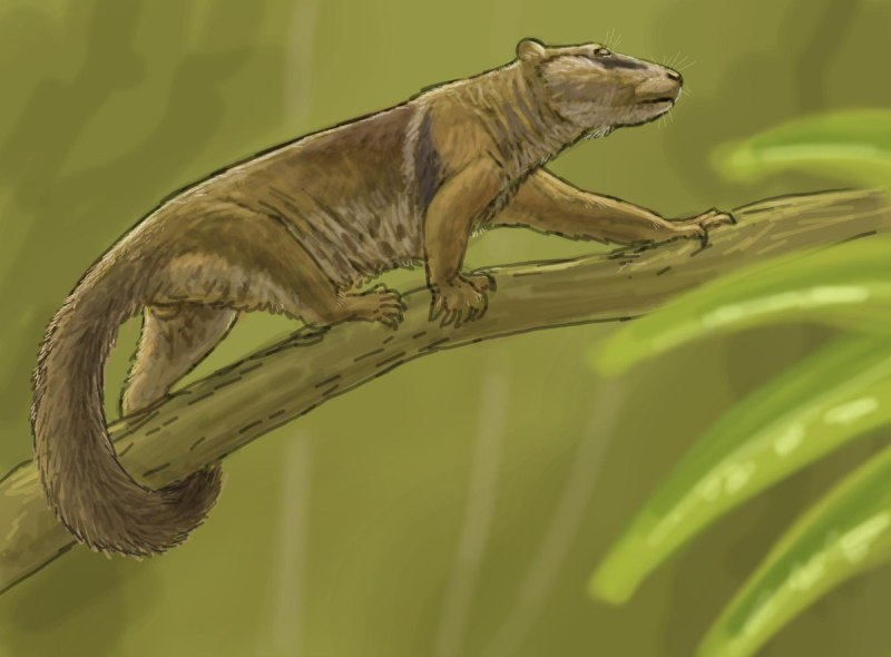 Stomatosuchus inermis
