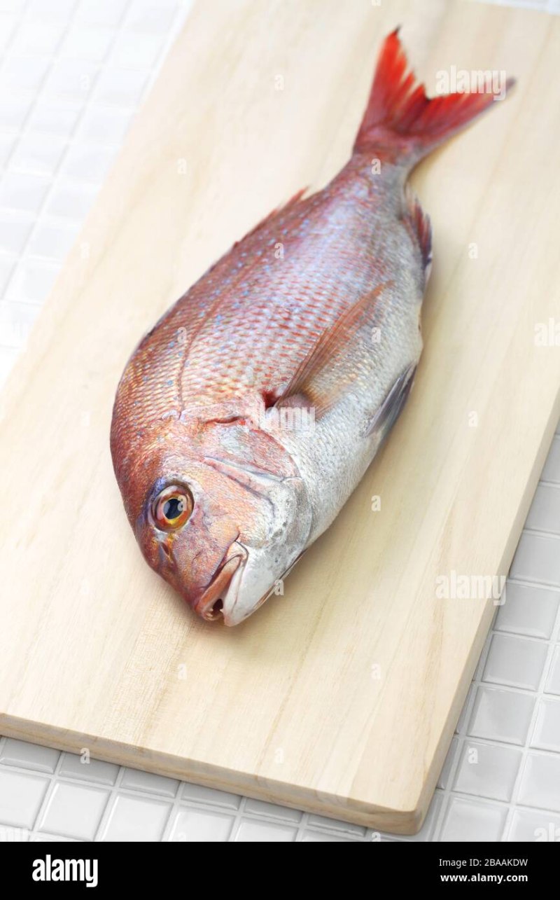 Японский морской лещ