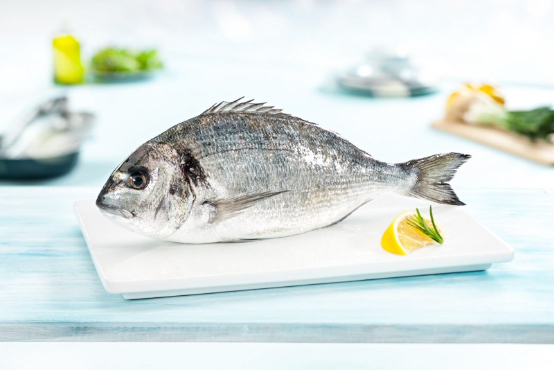 Sea Bream