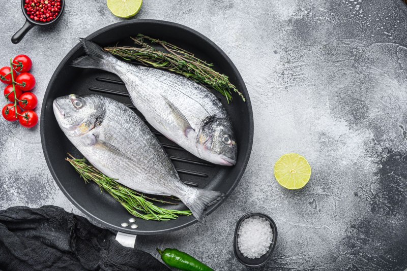Seabream 1*5 Dorado