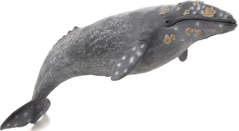 Фигурка Collecta серый кит 88836