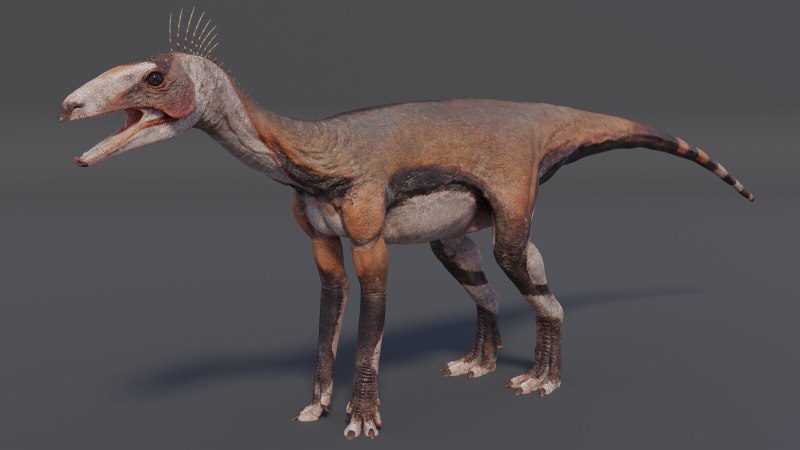 Silesaurus opolensis