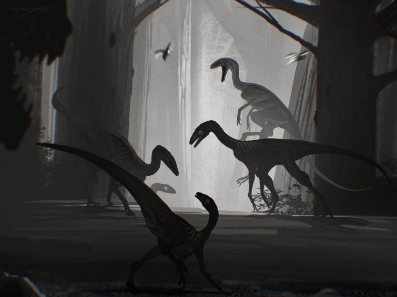 Silesaurus