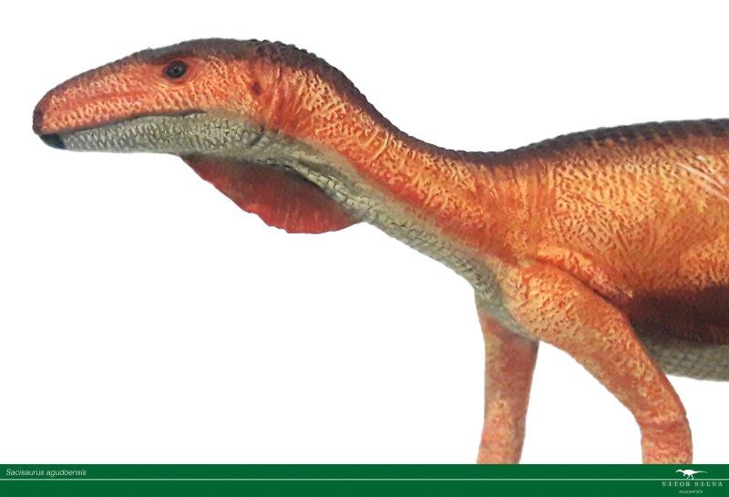 Silesaurus opolensis