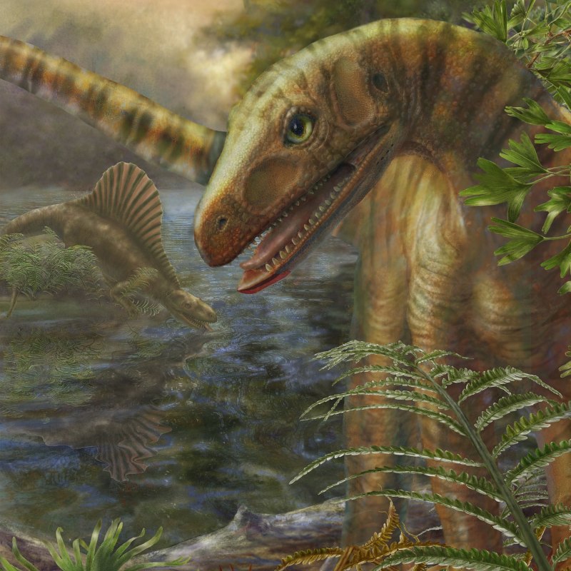 Asilisaurus Kongwe