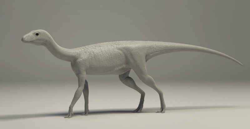 Силезавр. Silesaurus opolensis