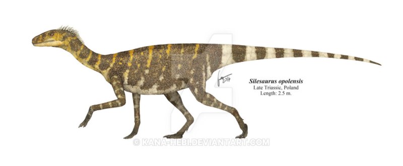 Silesaurus opolensis динозавр