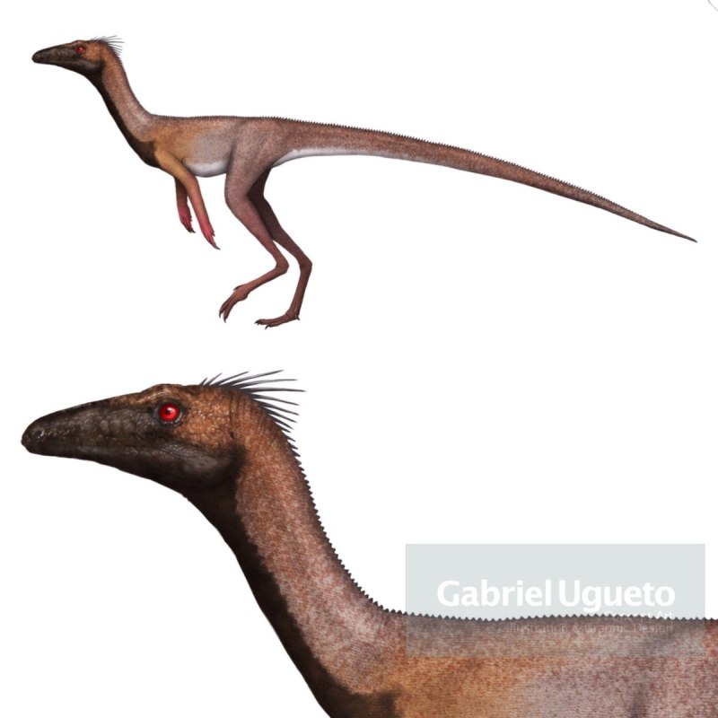 Gabriel Ugueto Dilophosaurus