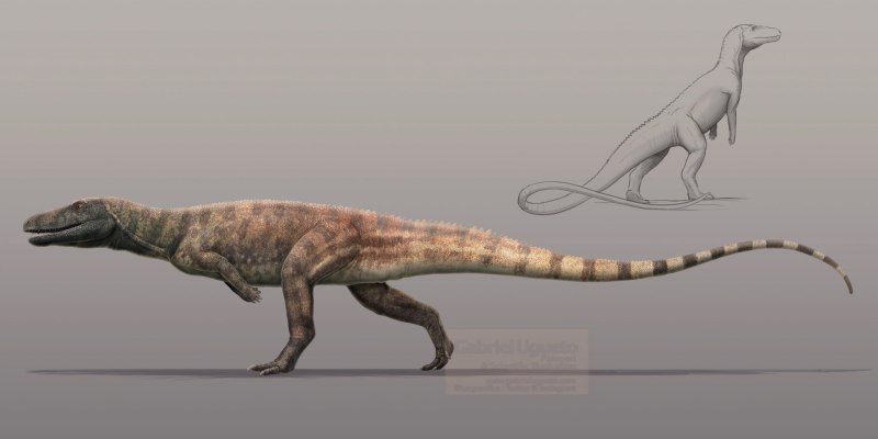 Poposaurus gracilis