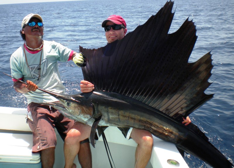 Mariana Sailfish рыба