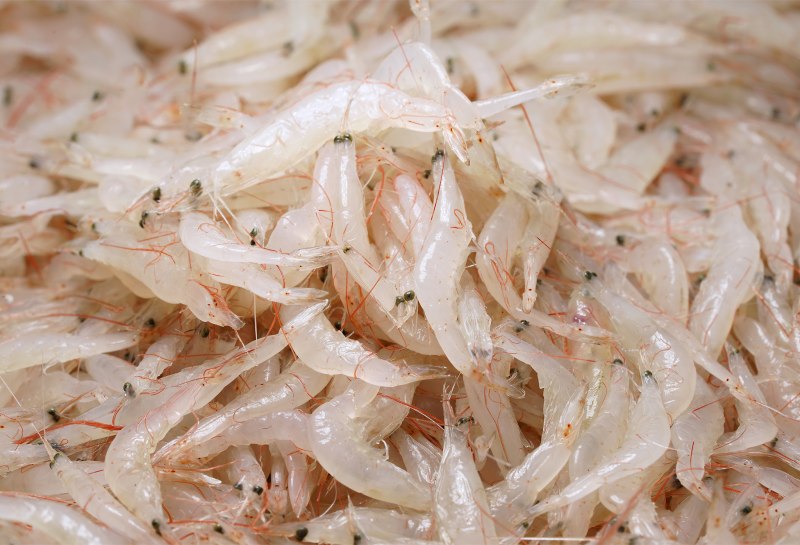 Что такое криль мясо криля