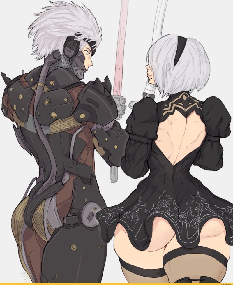 Райден и 2b
