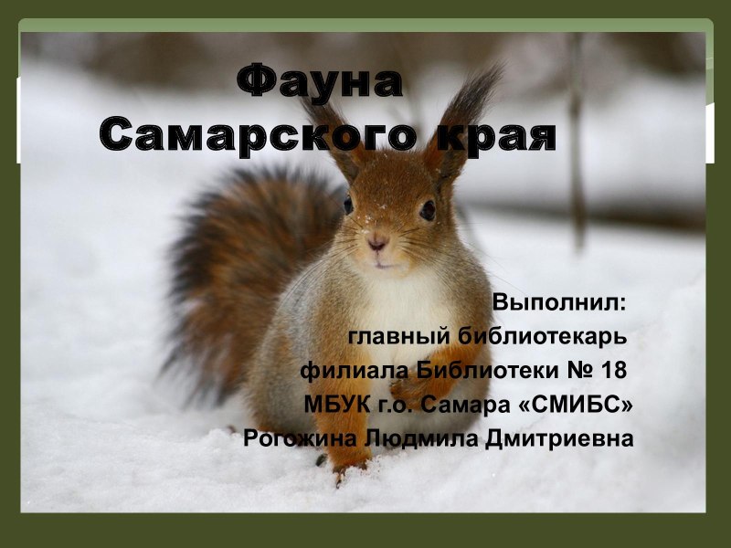 Разнообразие животных Самарского края