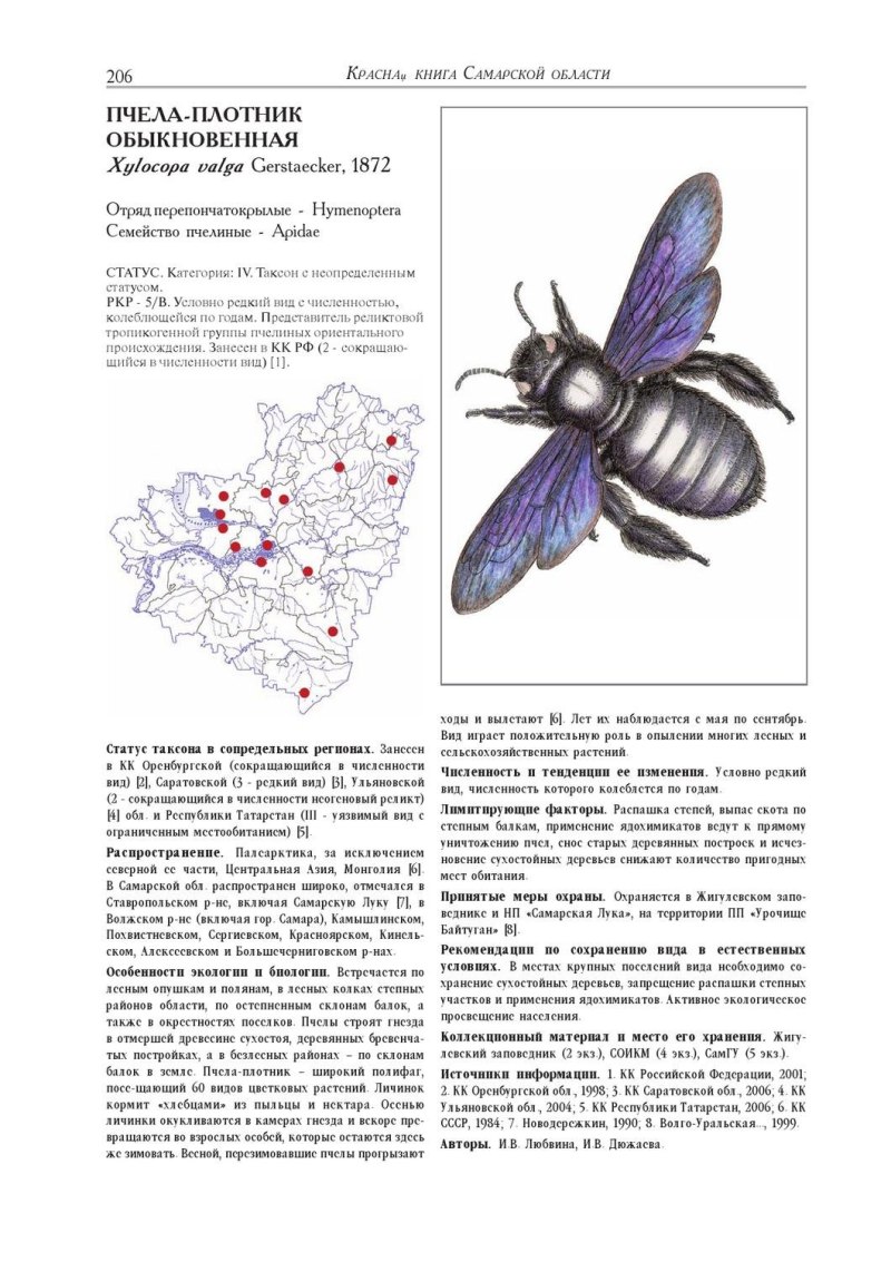 Насекомые Самарской области занесенные в красную книгу