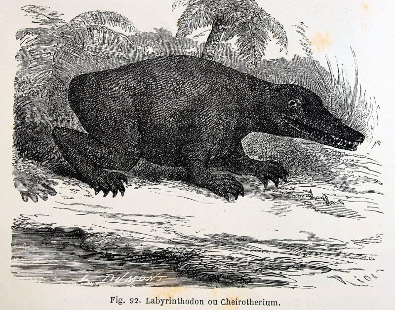 Chirotherium кто это