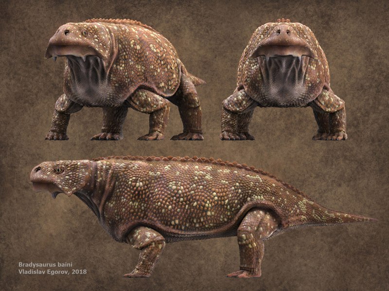 Scutosaurus karpinskii