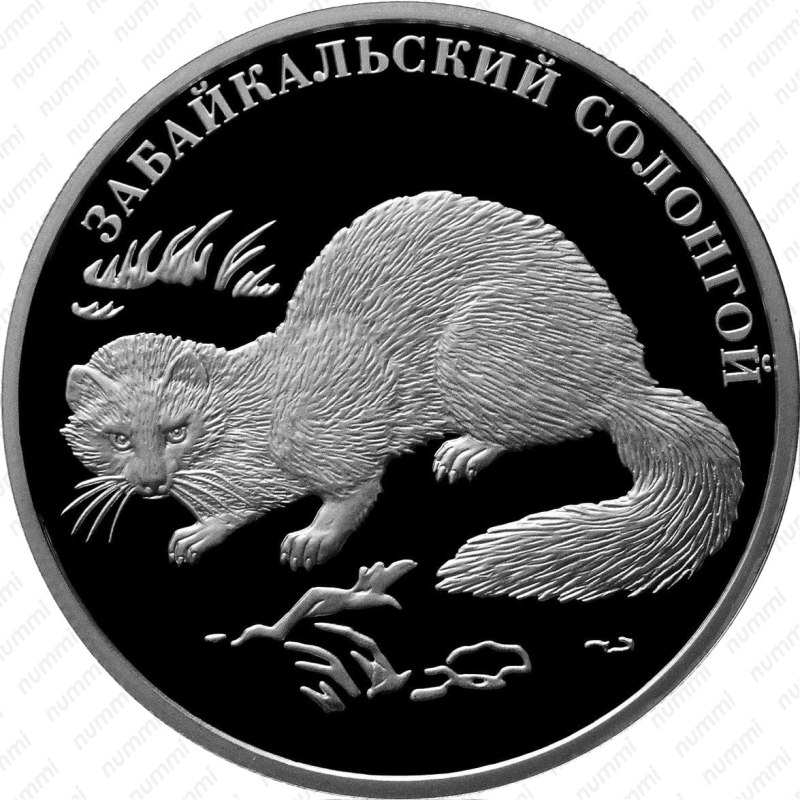 Забайкальский солонгой монета