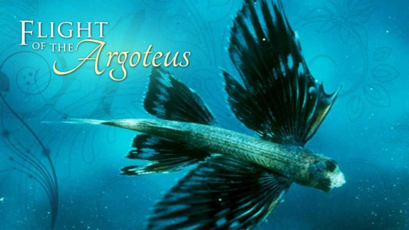 Летучая рыба – Exocoetidae