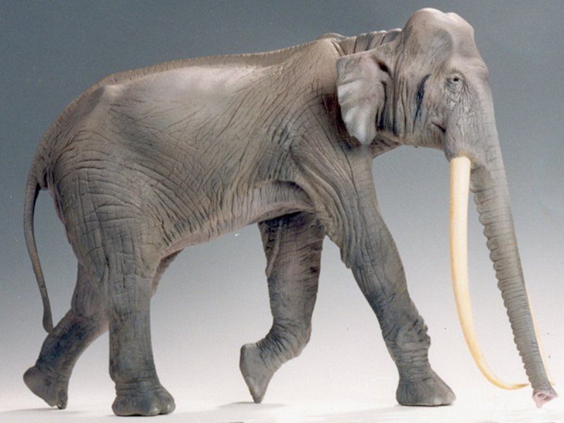 Palaeoloxodon antiquus