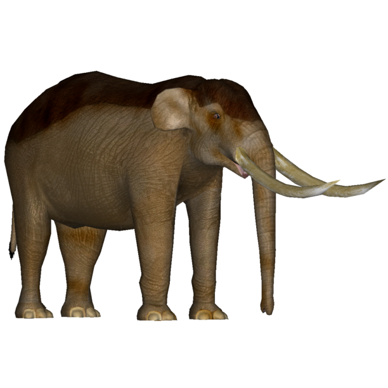 Palaeoloxodon recki