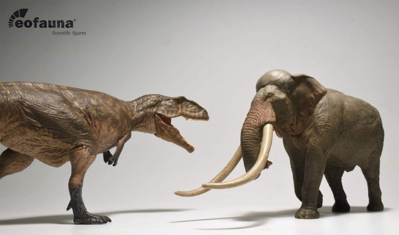 Deinotherium Eofauna