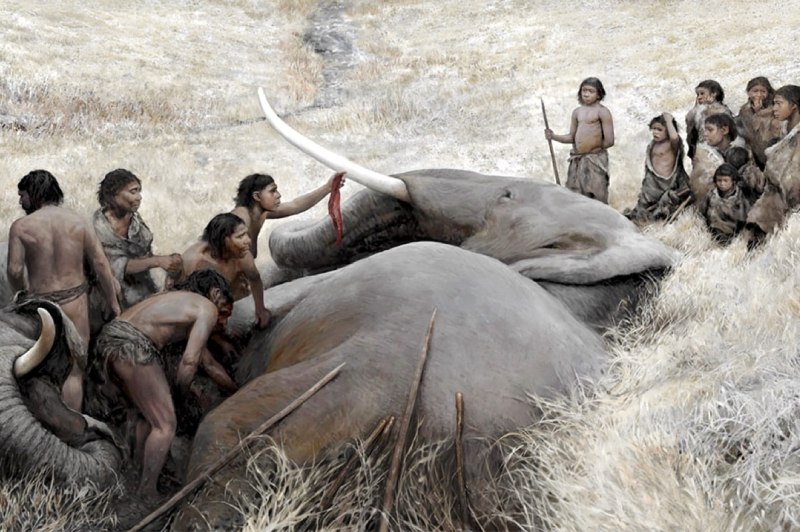 Tom Bjorklund for Moesgaard Museum