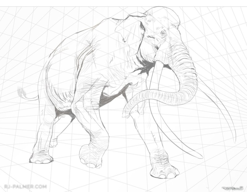 Palaeoloxodon namadicus