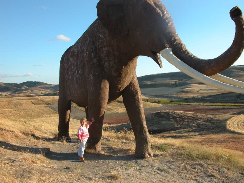 Palaeoloxodon antiquus