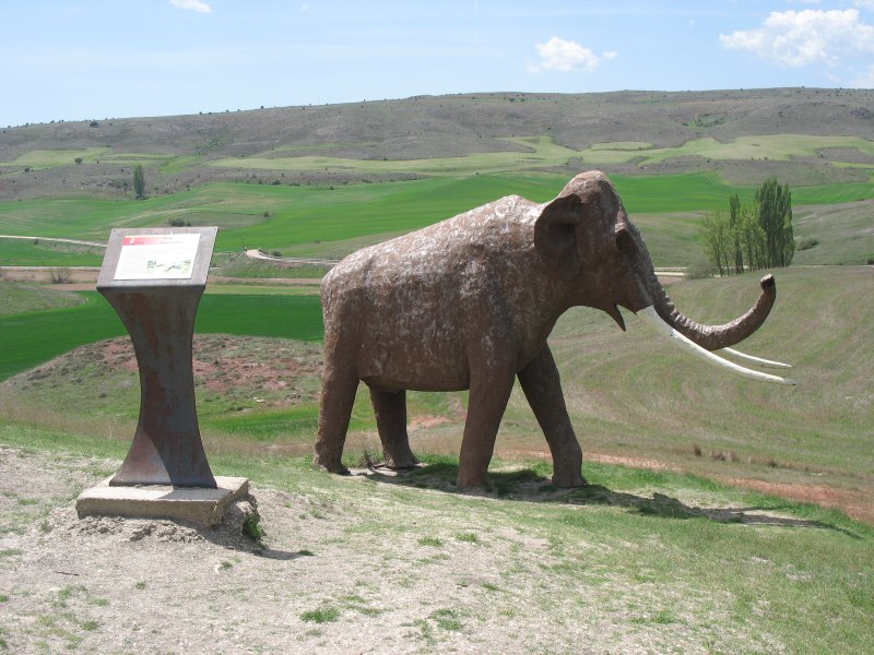 Palaeoloxodon antiquus