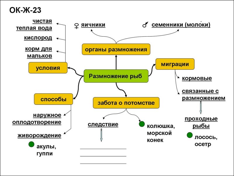 Схема опорный конспект по биологии 7 класс рыбы