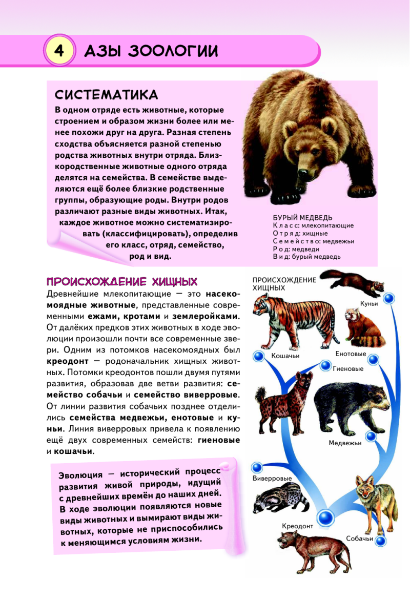 Хищники животные список животных