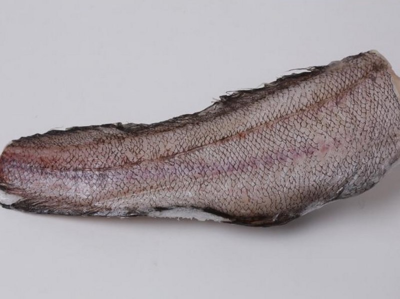 Морская рыба лимонелла