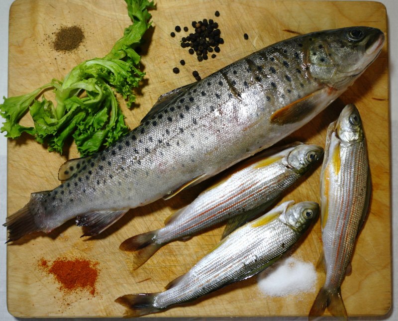 Морская рыба минек