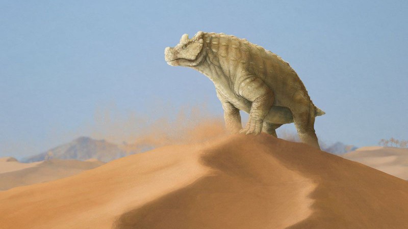 Bunostegos akokanensis