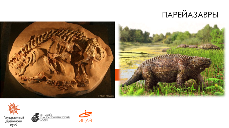 Котельнические парейазавры
