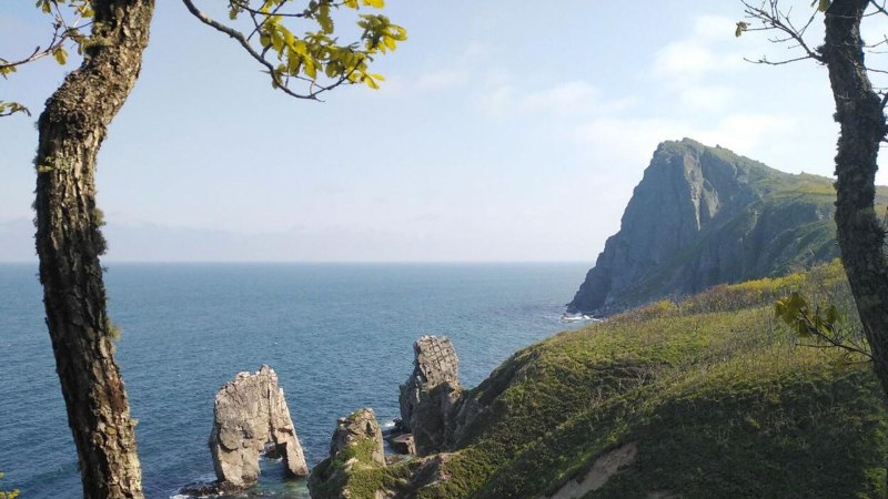 Сихотэ Алинский Амурский горал