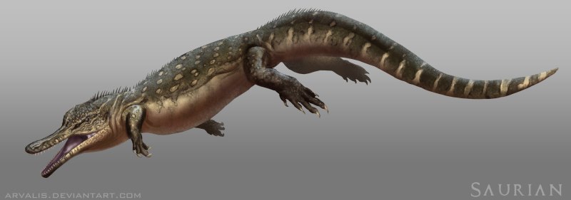 Saurian Пахицефалозавр