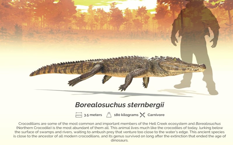 Borealosuchus Saurian