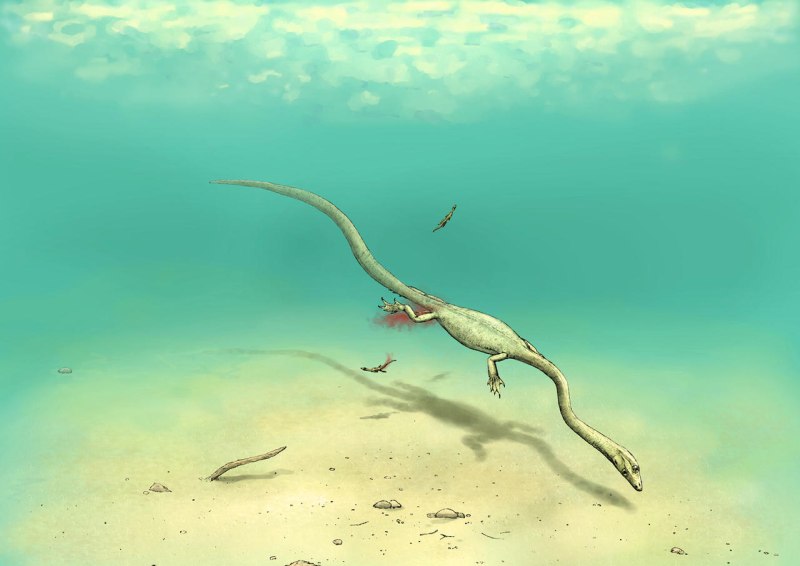 Hyphalosaurus lingyuanensis