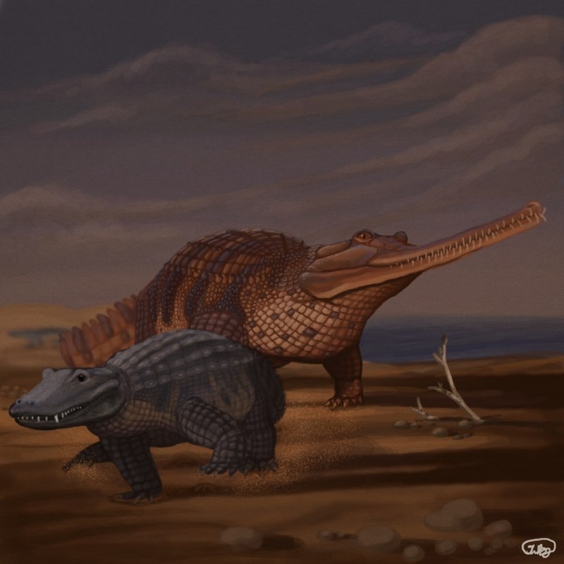 Paleosaniwa Saurian