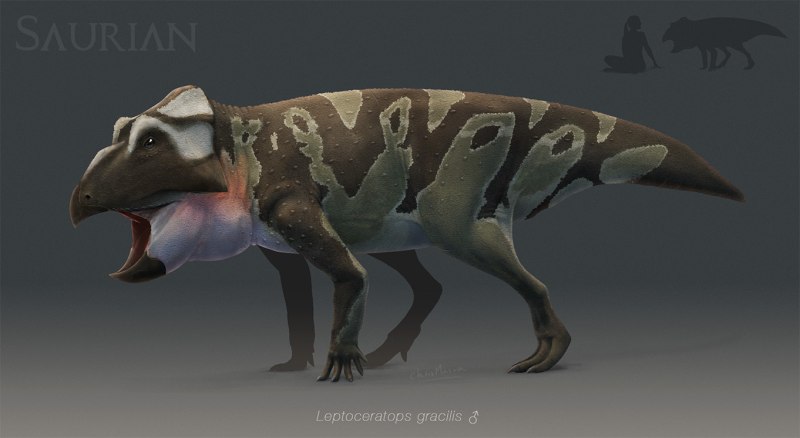 Alamosaurus Saurian