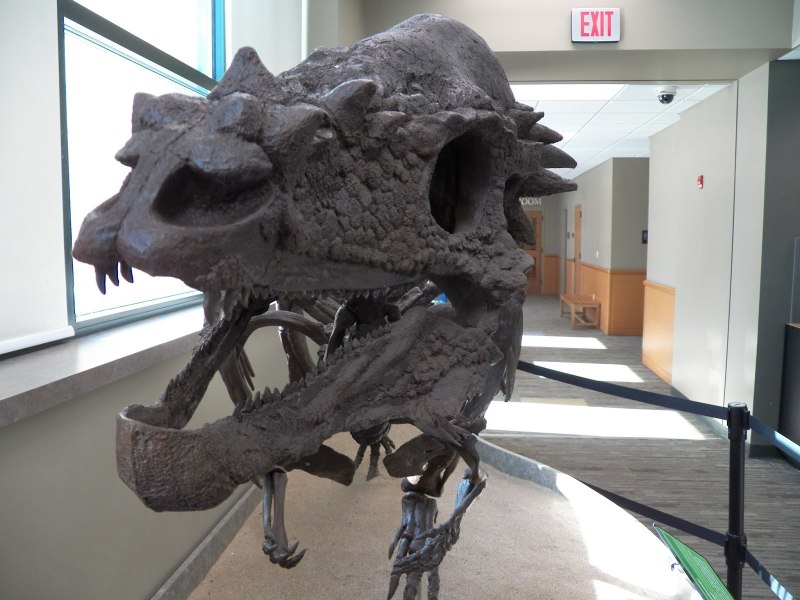 Champsosaurus