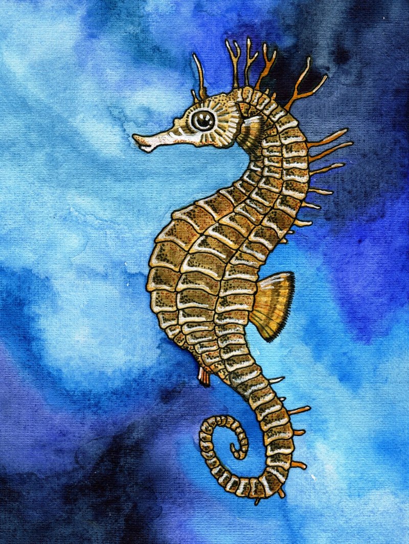 Карл э. "морской конёк"