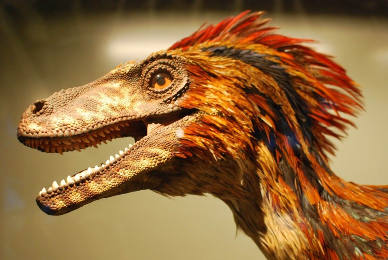 Дейноних - Deinonychus - динозавры