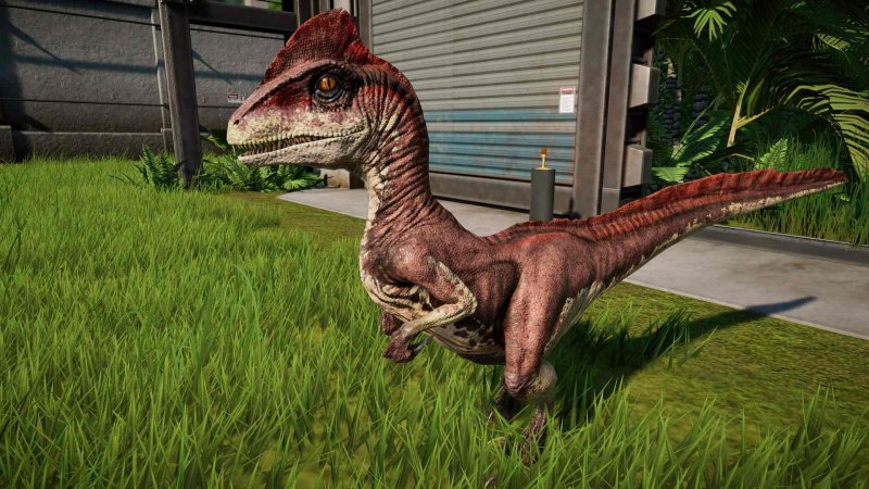 Дейноних Deinonychus