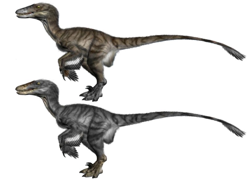 Дейноних Deinonychus