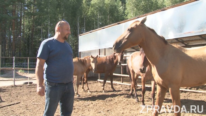 Татарский конь Рустам